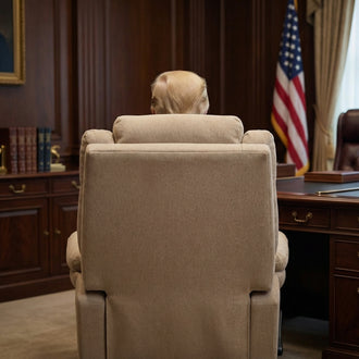כורסת Trump4