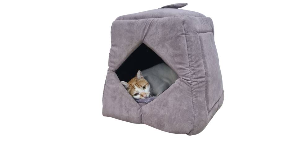 1 מיטה לחתול sealy