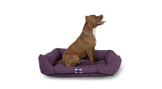 מזרן לכלבים sealy dog3